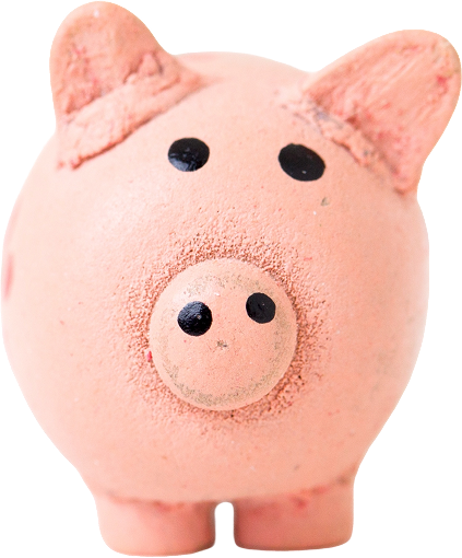 Piggy Bank Toy